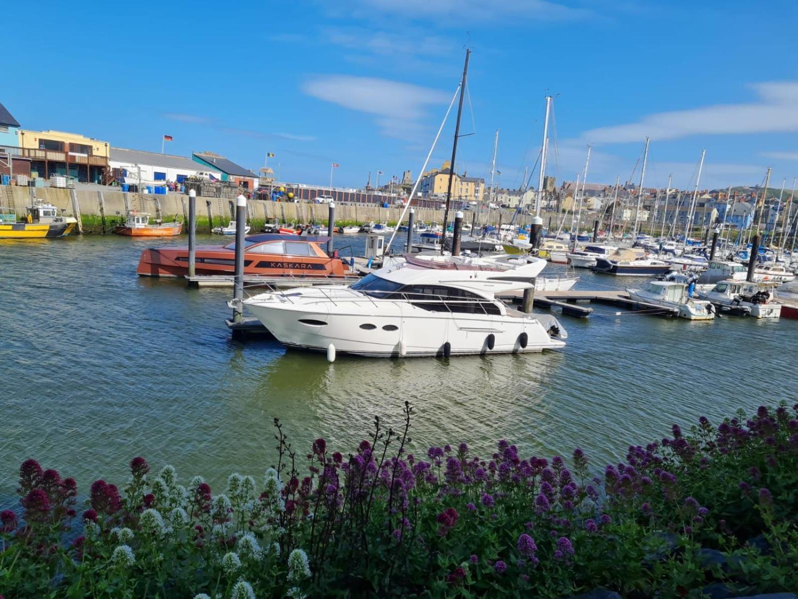 Spacious Luxury Escape With Sea Views And Pet Friendly At Clarach Bay Aberystwyth Luaran gambar